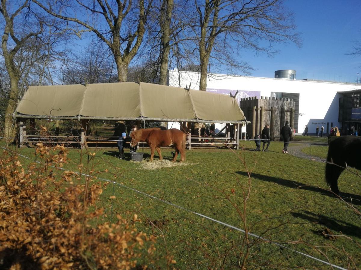 Woody B&B Jelling Eksteriør bilde